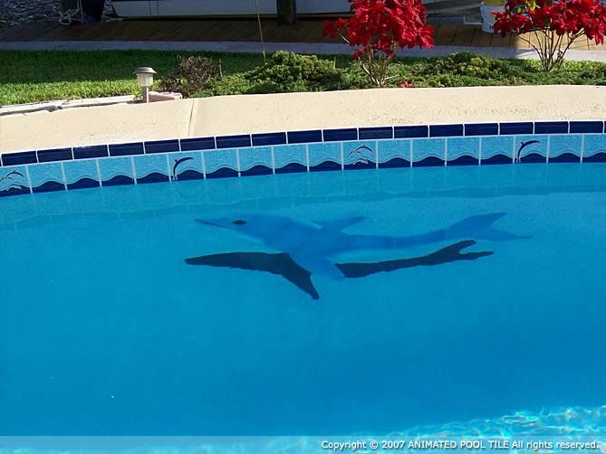 pool dolphin not working